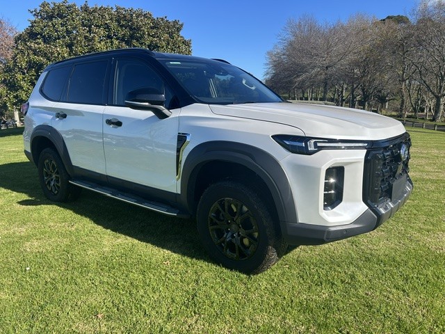 2025 LDV D90
