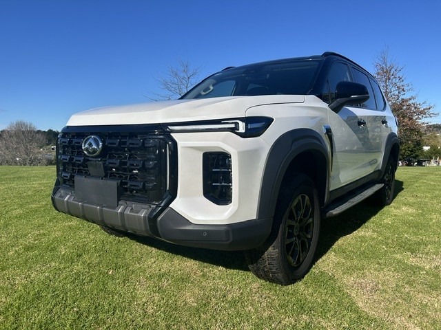 2025 LDV D90