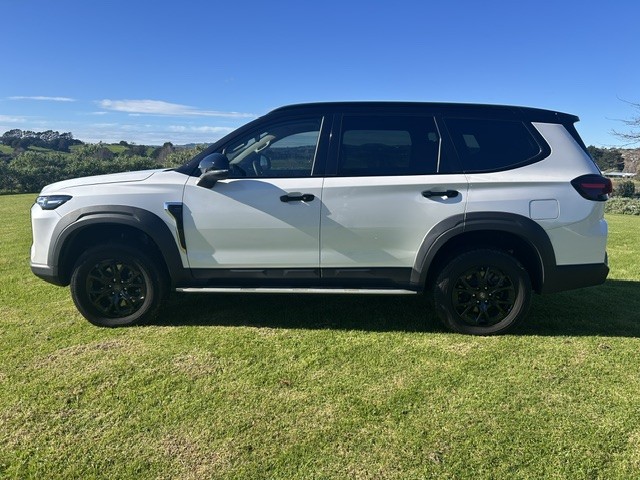 2025 LDV D90